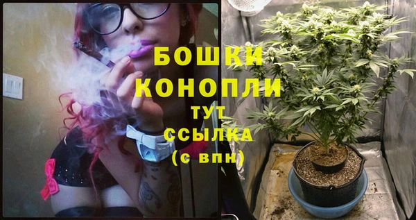 молекула духа Лагань