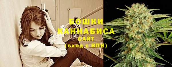 молекула духа Лагань