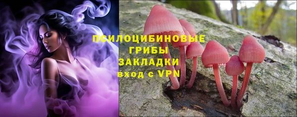 молекула духа Лагань