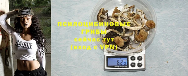 молекула духа Лагань