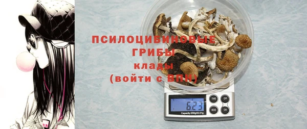 молекула духа Лагань