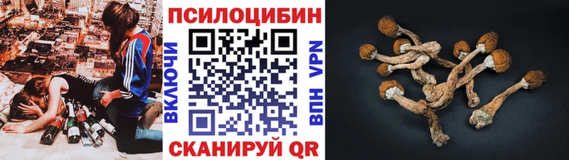 где найти   Судак  МЕГА маркетплейс  Галлюциногенные грибы прущие грибы 